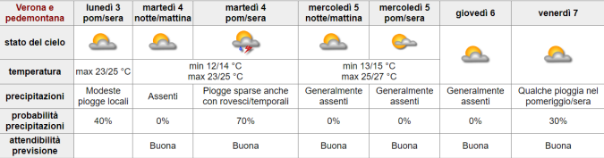 BOLLETTINO FITOSANITARIO VITE: 04 GIUGNO 2024 - 1