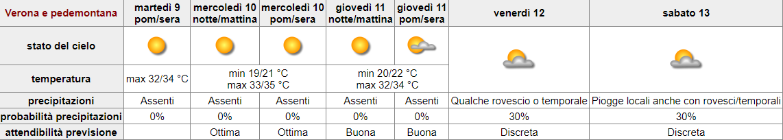 BOLLETTINO FITOSANITARIO VITE: 09 LUGLIO 2024 - 1