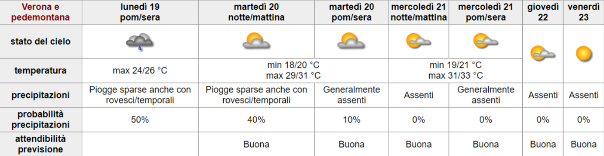 BOLLETTINO FITOSANITARIO VITE: 20 AGOSTO 2024 - 1